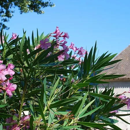 Chateau Neuf Le Desert 아파트