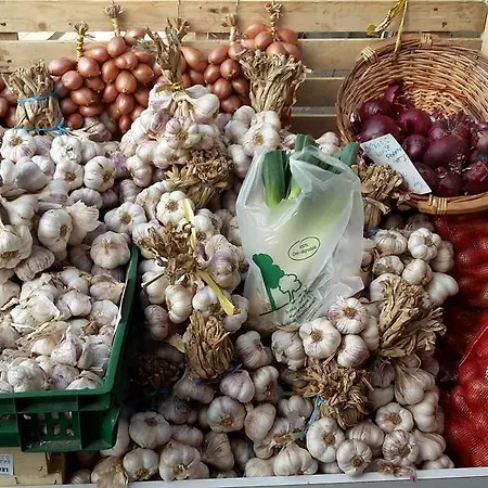 Chateau Neuf Le Desert