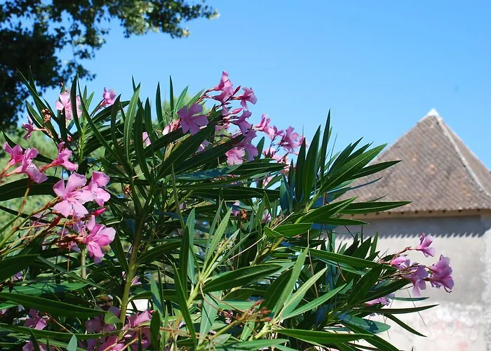 Château Neuf Le Désert Appartamento