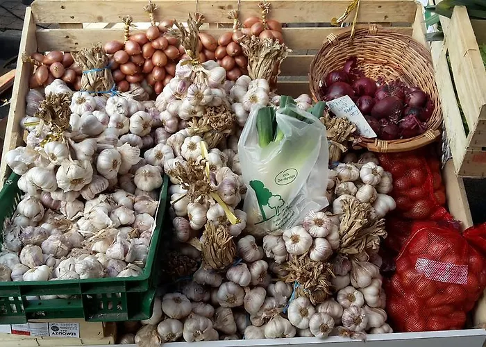 Château Neuf Le Désert